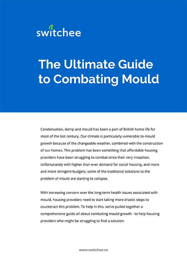 The Ultimate Guide to Combating Mould